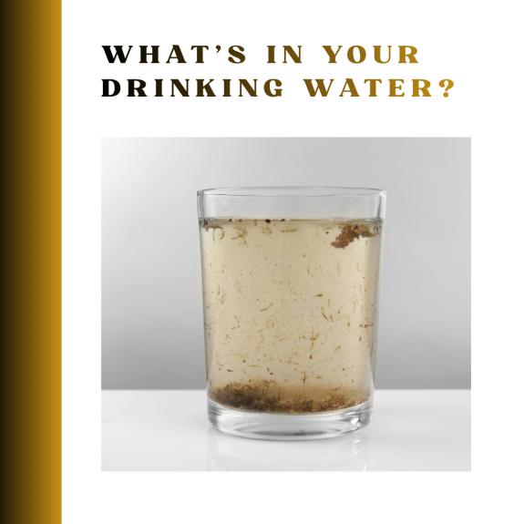 The impacts of pollutants in drinking water